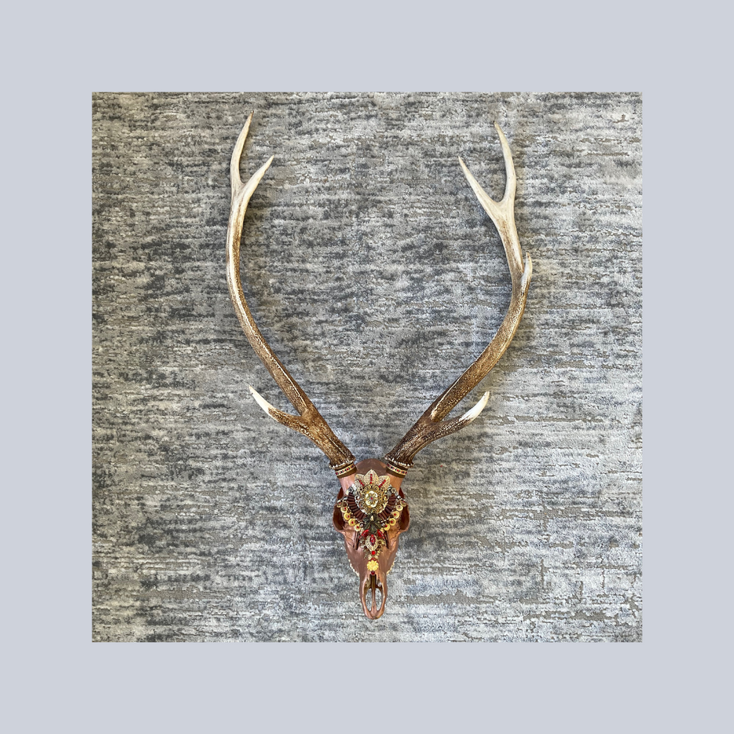 ‘Drakoni’ | Adorned Antlers | Lisa Hoskins