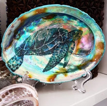 Load image into Gallery viewer, Sea Turtle | Decorated Shell | Bijoux Beach
